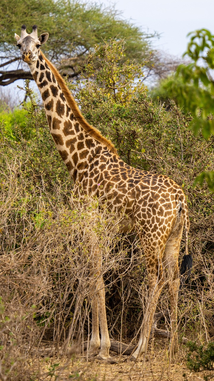 Our mission in action