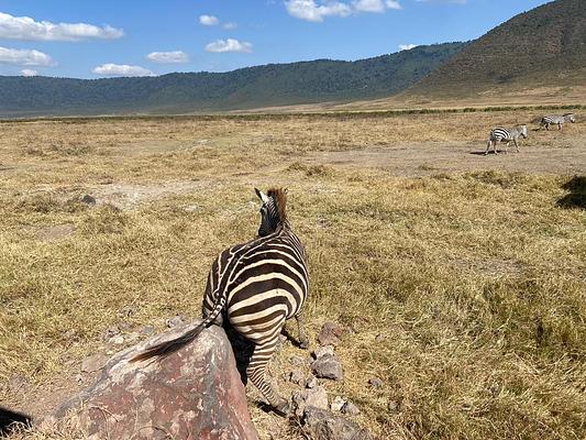 Serengeti National Park