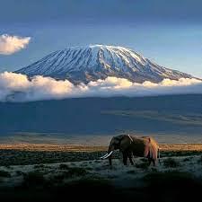 Mount Kilimanjaro Expedition